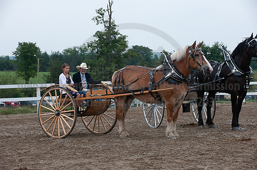 ACF_2012_SCL3741