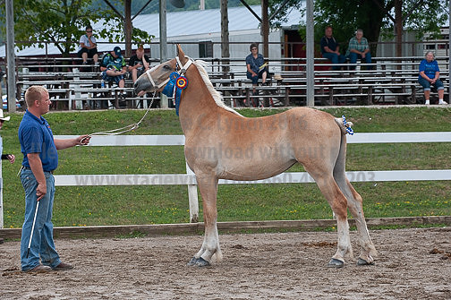 ACF_2012_SCL3276