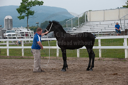 ACF_2012_SCL3266