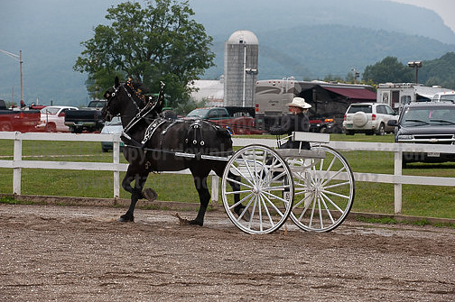 ACF_2012_SCL3568
