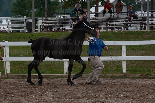 ACF_2012_SCL3262