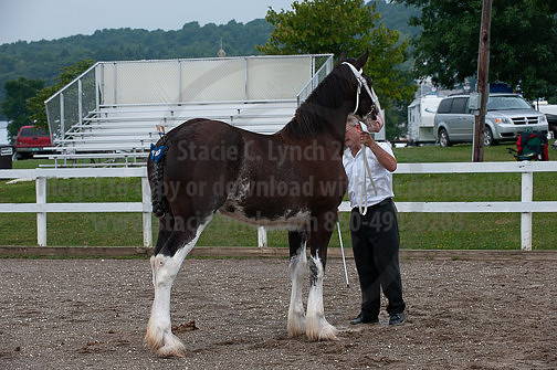 ACF_2012_SCL3221
