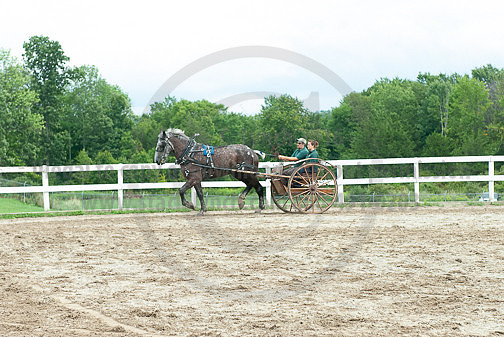 ACF_2012TDM_2566