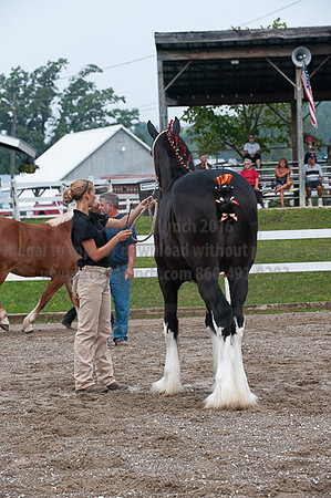 ACF_2012_SCL3145