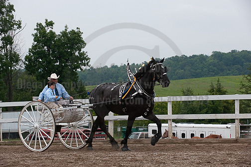 ACF_2012_SCL3682