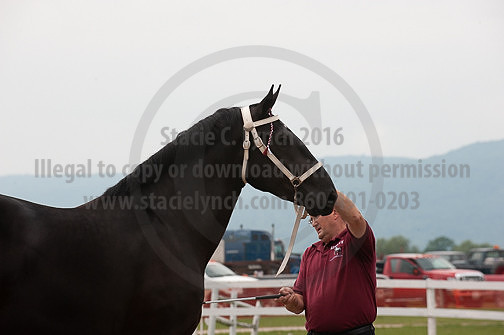 ACF_2012_SCL3374