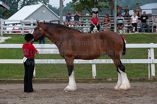 ACF_2012_SCL3108