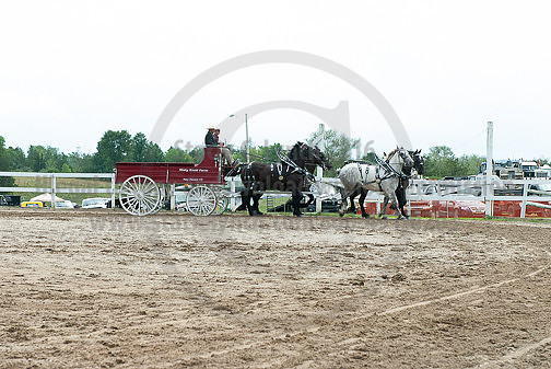ACF_2012TDM_2592