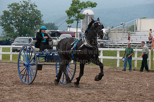 ACF_2012_SCL3626