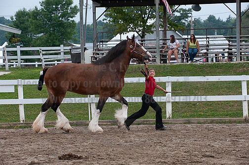 ACF_2012_SCL3449