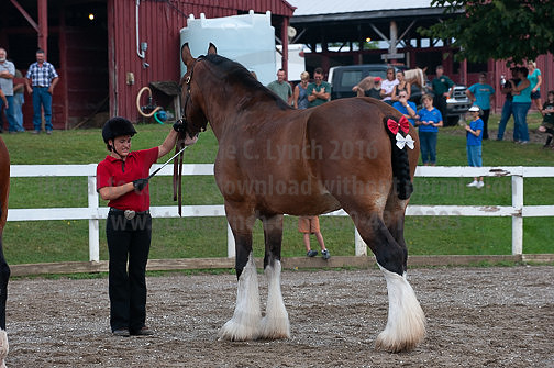 ACF_2012_SCL3097
