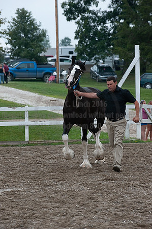 ACF_2012_SCL3278