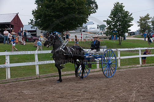 ACF_2012_SCL3874