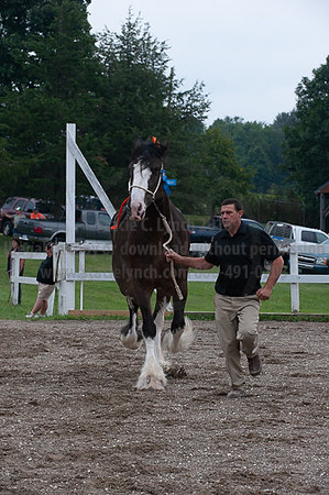ACF_2012_SCL3465