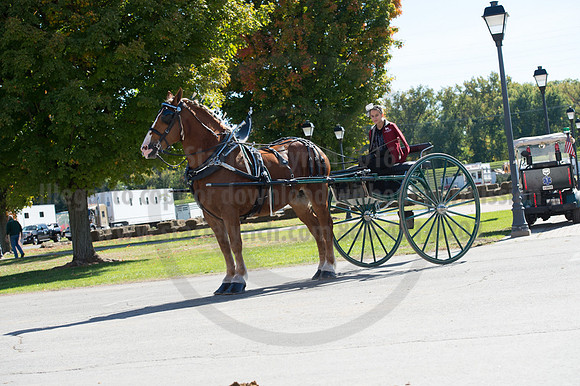 NABC8_10152016_SCL_0582