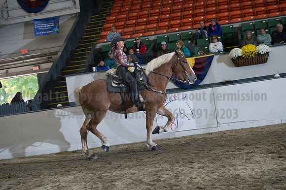 NABC8_10142016_SCL_8347
