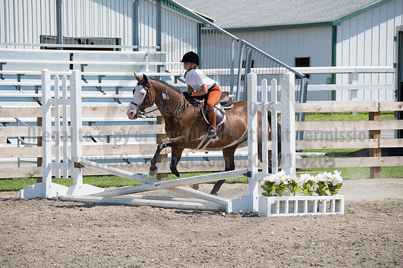 2016DCF_08242016_SCL_9162