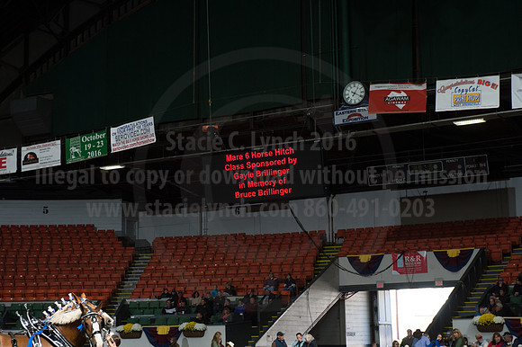 NABC8_10142016_SCL_8560