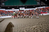BigE_20221002-SCL_4769