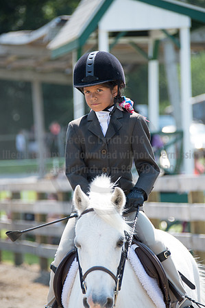 2016DCF_08242016_SCL_9099