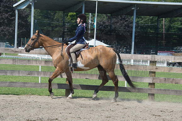 2016DCF_08242016_SCL_8775