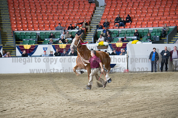 NABC8_10132016_SCL_5747