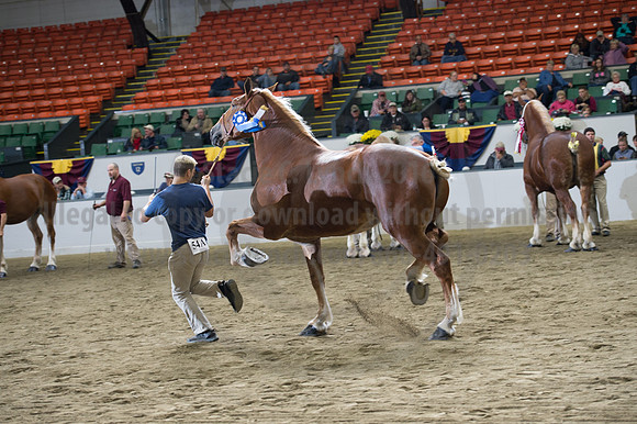 NABC8_10132016_SCL_5745