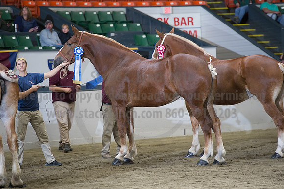 NABC8_10132016_SCL_5770