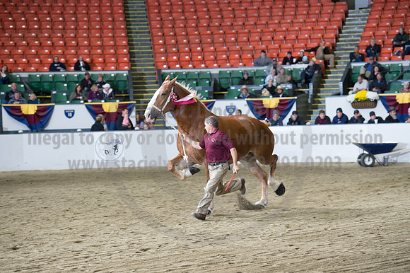 NABC8_10132016_SCL_5748