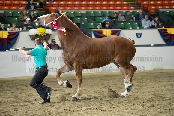 NABC8_10132016_SCL_5726