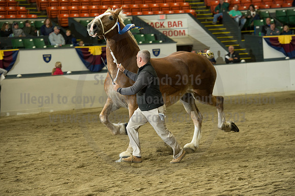 NABC8_10132016_SCL_5731
