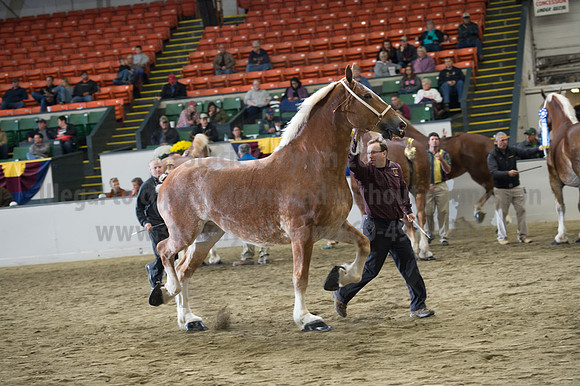 NABC8_10132016_SCL_5738