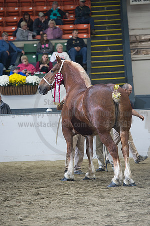 NABC8_10132016_SCL_5755