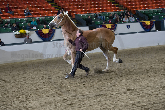 NABC8_10132016_SCL_5815