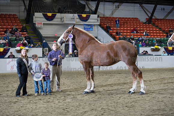 NABC8_10132016_SCL_5785