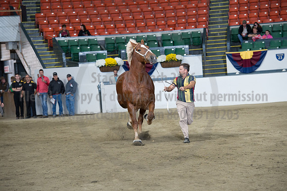 NABC8_10132016_SCL_5728