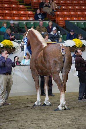 NABC8_10132016_SCL_5768