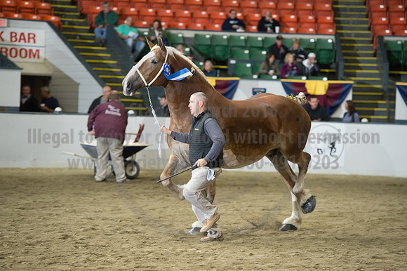 NABC8_10132016_SCL_5725