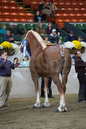 NABC8_10132016_SCL_5769