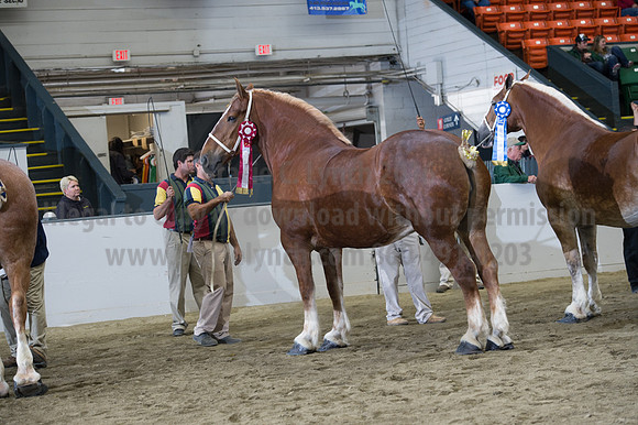NABC8_10132016_SCL_5756
