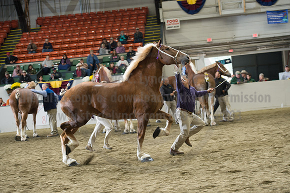 NABC8_10132016_SCL_5735