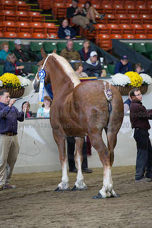 NABC8_10132016_SCL_5767