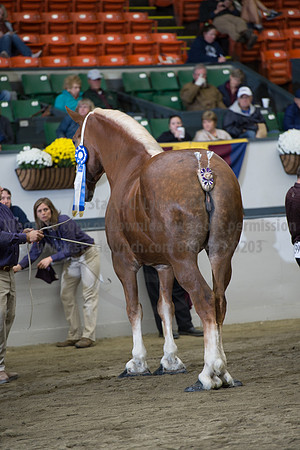 NABC8_10132016_SCL_5761