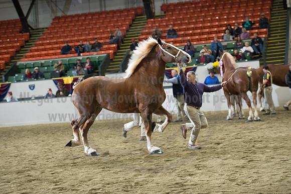 NABC8_10132016_SCL_5734