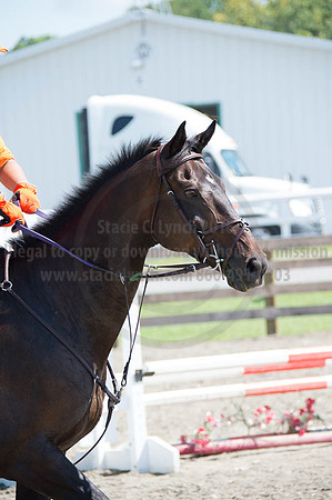2016DCF_08262016_SCL_0508