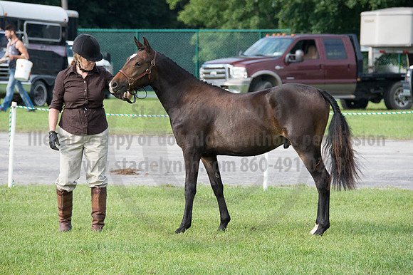 2016DCF_08252016_SCL_9577