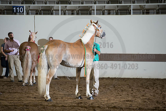 ISF_08192016_SCL_4714