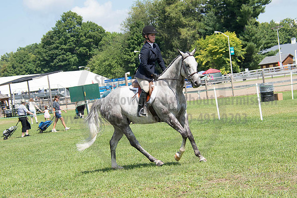 2016DCF_08262016_SCL_0496
