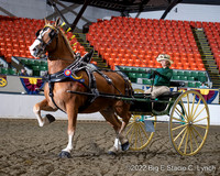 39. Big E Ladies’ Cart Championship - All Breeds