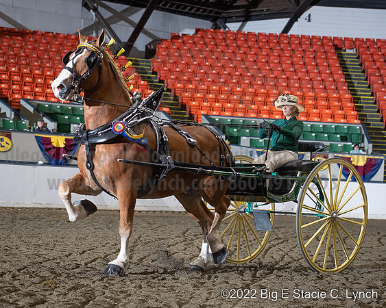 BigE_20221002-SCL_4533